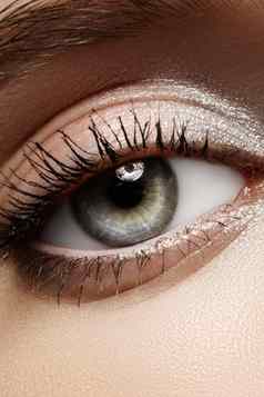 美丽的宏女眼睛经典清洁化妆完美的形状眉毛银眼影膏化妆品化妆