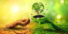 树手环境地球一天世界环境一天全球气候变暖污染