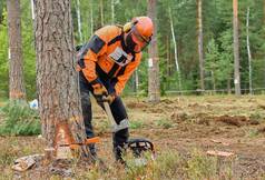 伐木工人保护齿轮切木森林电锯
