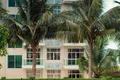 摘要建筑背景白色混凝土房子外片段棕榈树蓝色的多云的天空