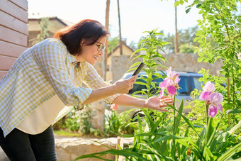 女人休息春天花园拍摄智能<strong>手机</strong>开花植物虹<strong>膜</strong>