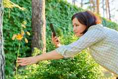 女人休息春天花园拍摄智能手机盛开的莉莉植物