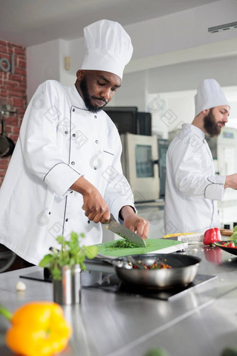 美食专家餐厅专业厨房切新鲜的绿色烹饪美食菜晚餐服务