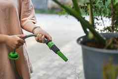 女浇水植物花园软管园艺爱好国内生活概念
