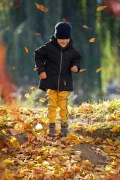 秋天微笑男孩肖像秋天黄色的叶子孩子羊毛他美丽的孩子公园户外温暖的服装10月季节