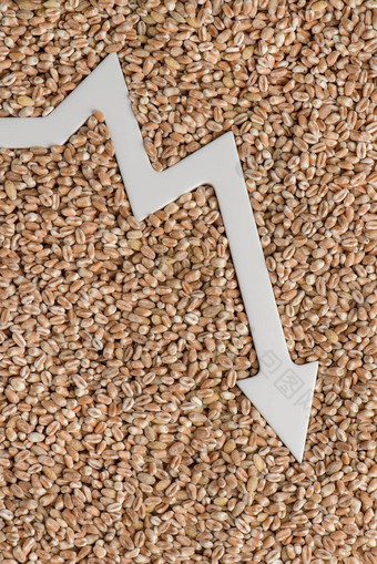 小麦进口减少进口小麦谷物世界食物危机禁止进<strong>口粮</strong>食农业产品
