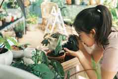 微笑年轻的女人采取智能手机图片植物小商店