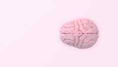 大脑前视图粉红色的背景呈现