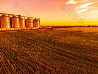 粮食电梯金属粮食电梯农业区农业存储收获粮食筒仓绿色自然背景外农业工厂日落温暖的光