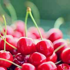 美丽的红色的新鲜的樱桃健康的食物水果概念有机健康的生活方式