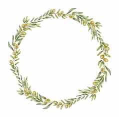 轮花环橄榄分支水彩画手画框架橄榄叶子孤立的白色背景