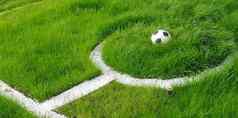 足球球绿色草绿色花圃描绘足球场球
