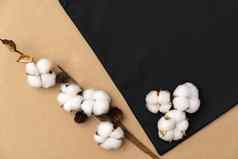 纺织生态袋棉花花纸背景