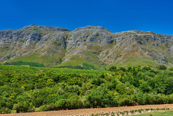 山范围郁郁葱葱的绿色植物耕种农田葡萄园南非斯泰伦博斯南非洲充满活力的绿色自然场景灌木惊人的明亮的蓝色的天空农村绿色景观
