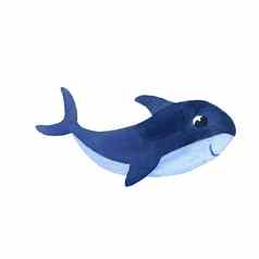 水彩可爱的蓝色的婴儿鲨鱼画字符海动物