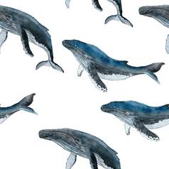 手画水彩无缝的模式蓝色的鲸鱼海海洋海洋动物航海水下濒临灭绝的哺乳动物物种蓝色的灰色的插图织物托儿所装饰海打印