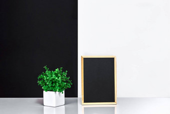 木框架黑色的的地方文本模拟时尚的房间室内绿色植物白色能黑白墙背景