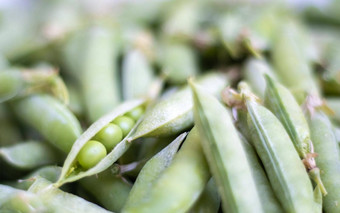 很多绿色豌豆未剥皮的年轻的绿色豌豆特写镜头绿色背景健康的生态食物素食者菜收获蔬菜美丽的特写镜头新鲜的豌豆(2008年)豆荚