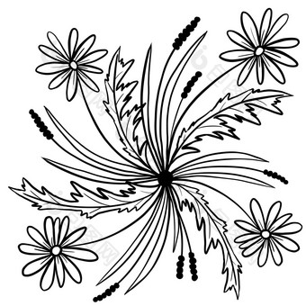 手画花花叶子插图黑色的白色优雅的极简主义婚礼点缀行艺术极简主义纹风格设计夏天春天自然分支树叶开花
