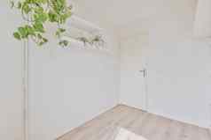 空房间白色墙木条镶花之地板地板上