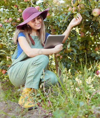 苹果农民数字平板电脑准备收获农场完整的长度微笑女人技术检查树植物监控植物增长农业果园房地产