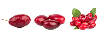 集成熟的红色的山茱萸浆果