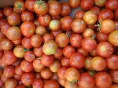 群红橙色樱桃Tomatos