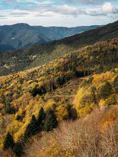 秋天景观山美丽的彩色的树森林美妙的风景如画的背景