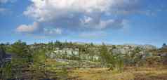 景观森林树池塘山多云的蓝色的天空复制空间夏天自然风景郁郁葱葱的绿色植被草不文明的灌木山挪威