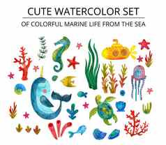 可爱的集色彩斑斓的海洋生活海海星皮毛密封珊瑚藻类鱼黄色的潜艇蜗牛