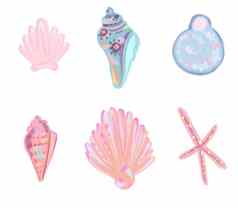 集合海贝壳画水彩贝壳珍珠拉帕纳