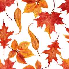 水彩手画无缝的模式红色的橙色黄色的秋天秋天叶子枫木橡木他来了叶10月9月感恩节背景森林木浆果