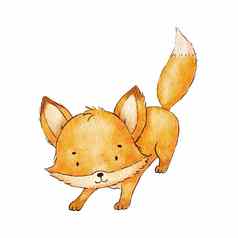 可爱的婴儿狐狸字符水彩幼稚的插图孤立的白色林地森林动物