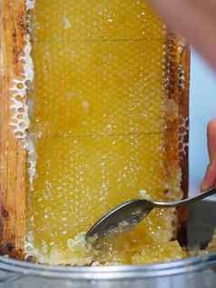 蜜蜂门将提取滴有机蜂蜜蜜蜂蜂窝首页