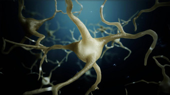 渲染神经元细胞连接世界摘要