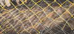 横幅摘要特写镜头宏真正的照片美丽的壁纸渔夫绳子网纹理纤维表面模式未来主义的微妙的挥舞着行艺术现代背景米色灰色光黄色的