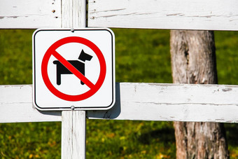 狗允许农场白色木栅栏轮红色的标志禁止狗走绿色草<strong>走动</strong>物禁止