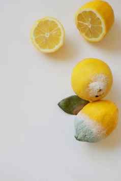 蓝色的模具黄色的柠檬被宠坏的腐烂的水果模具白色背景柠檬模具新鲜的柠檬白色背景前视图