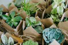 生态友好的可重用的生态袋美美的室内植物商店美美的生态纸袋
