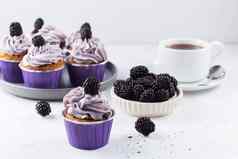 美味的黑莓蛋糕灰色的背景浆果茶纸杯蛋糕背景