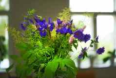 色彩斑斓的紫色的花束花瓶照亮首页新鲜的西伯利亚虹膜花盛开的开花绿色树叶充满活力的群花朵显示室内装饰房子