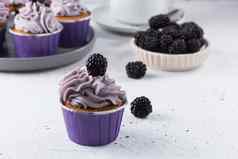 美味的黑莓蛋糕灰色的背景浆果茶纸杯蛋糕背景
