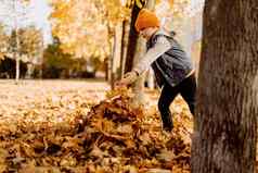 孩子有趣的秋天公园下降叶子扔叶孩子男孩在户外玩枫木叶子