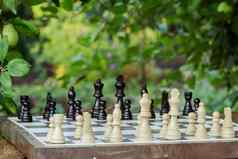 国际象棋董事会国际象棋块桌子上分支机构苹果树