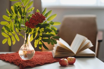 秋天生活罗文分支花瓶书苹果舒适的首页室内