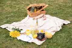 野餐毯子绿色草坪上篮子水果奶酪板复古的