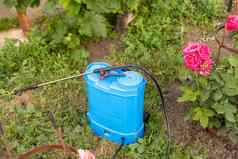 保护植物害虫压力喷雾器
