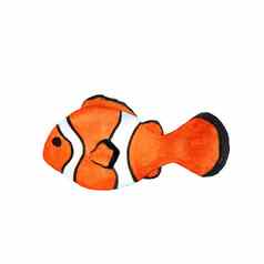 水彩插图可爱的小丑鱼插图橙色鱼孤立的白色背景海动物孩子们