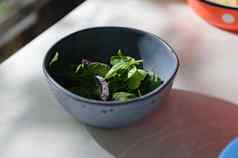 特写镜头新鲜选罗勒叶子香烹饪草本植物海军蓝色的陶瓷碗白色表格背景