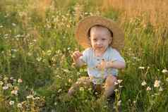 金发碧眼的男孩稻草他坐着草洋甘菊场概念走自然自由环境友好的生活方式